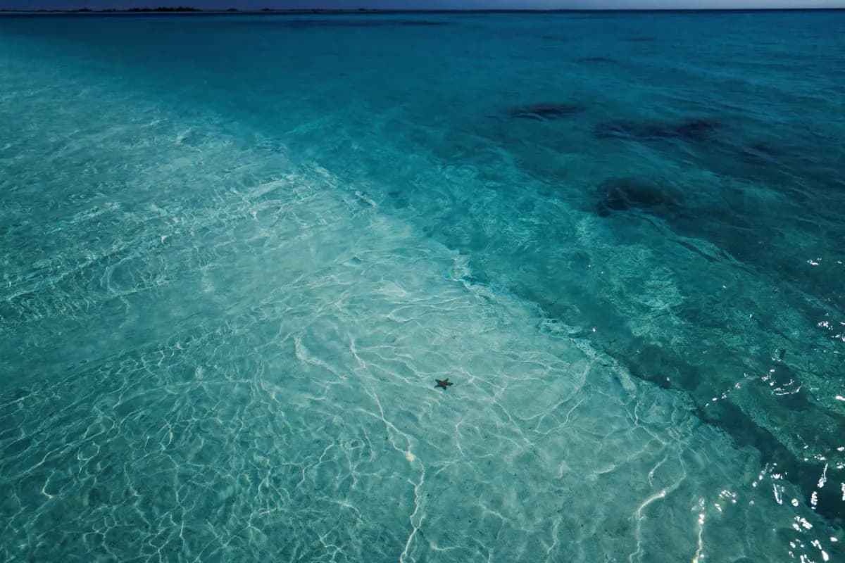 Zanzibar